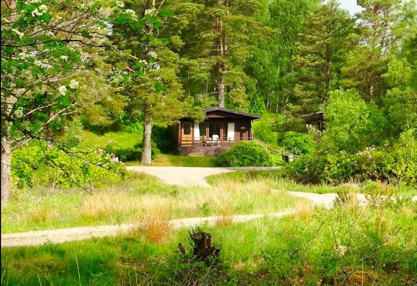 Chalet Star *